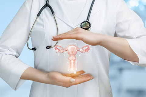 Sectia Clinica Obstetrica-Ginecologie II